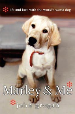 marley.jpg marley.jpg